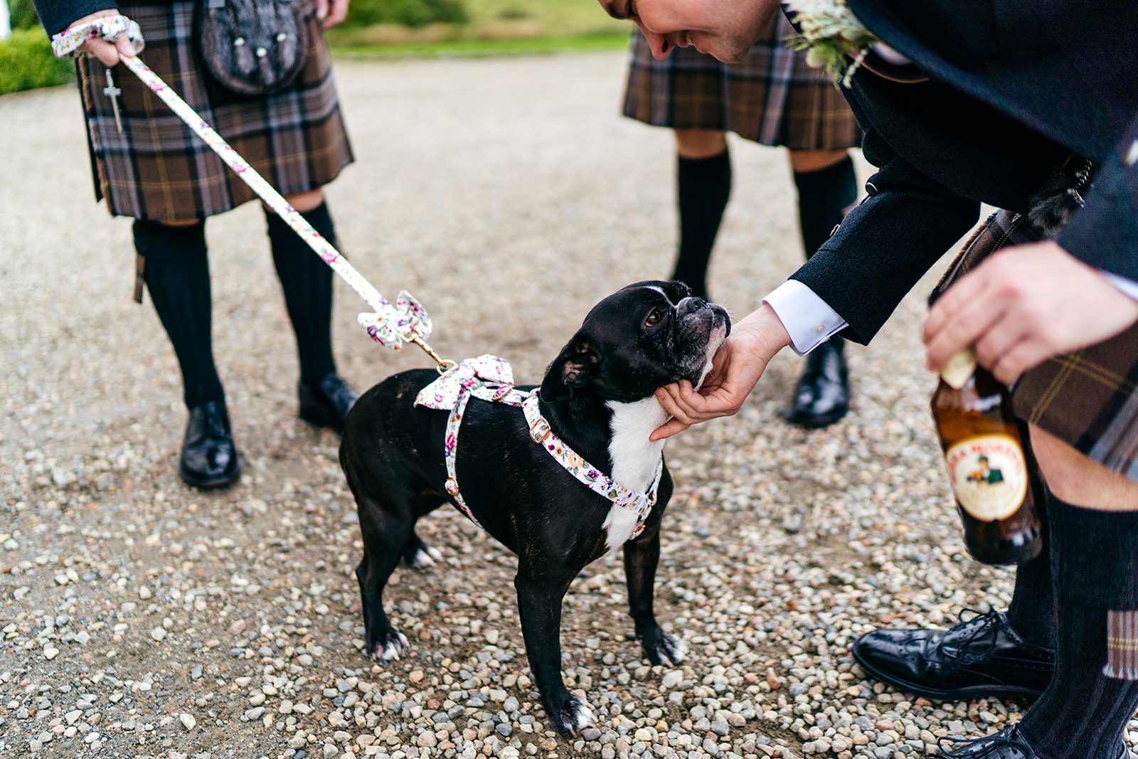 Doggy at wedding at Logie House ready for his moment