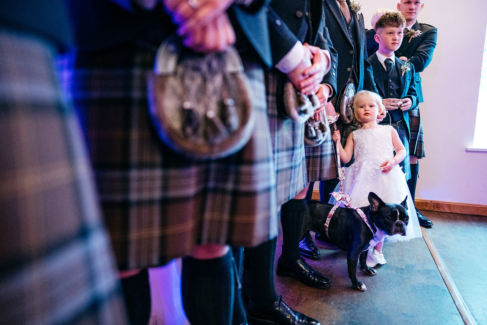 Flower girl and dog look on with groomsmen in kilts during ceremony